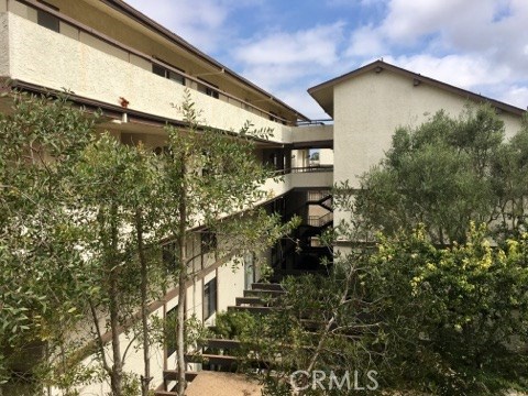 Center couryard