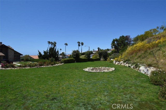 Huge Grassy Side Yard Huge Grassy Side Yard