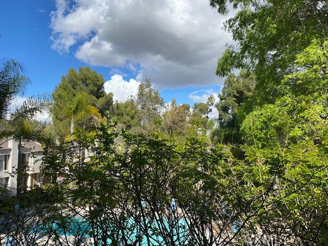 View from the master bedroom