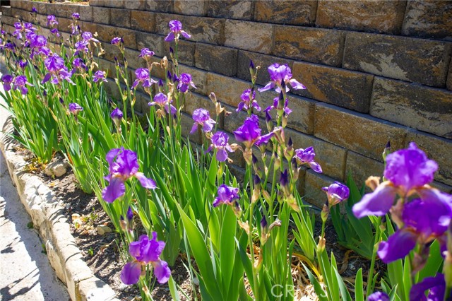 27109 Eastvale Road, Palos Verdes Peninsula, California 90274, 4 Bedrooms Bedrooms, ,3 BathroomsBathrooms,Residential,Sold,Eastvale,SB21091595