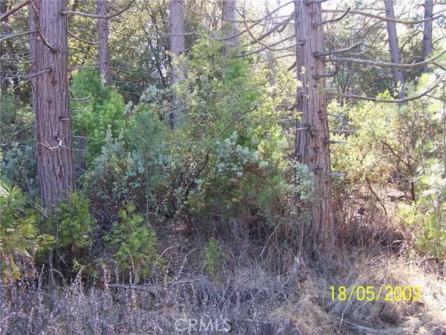 Detail Gallery Image 1 of 1 For 0 Old Yosemitre Rd, Oakhurst,  CA 93644 - – Beds | – Baths