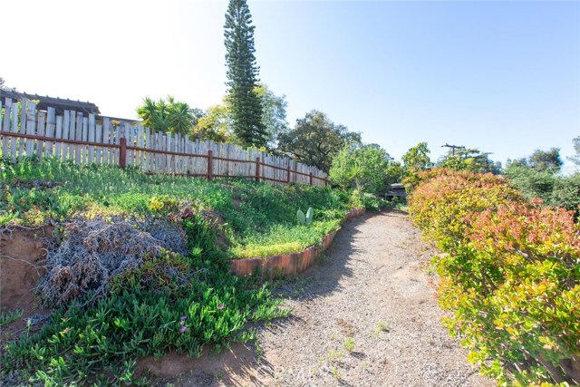 One of the trails that meanders from the upper part of the property, down to the lower portion which boasts a 700sf shop or 4 car tandem garage with electrical and full plumbing (on it's own septic).  Bring all of your toys and hobbies!