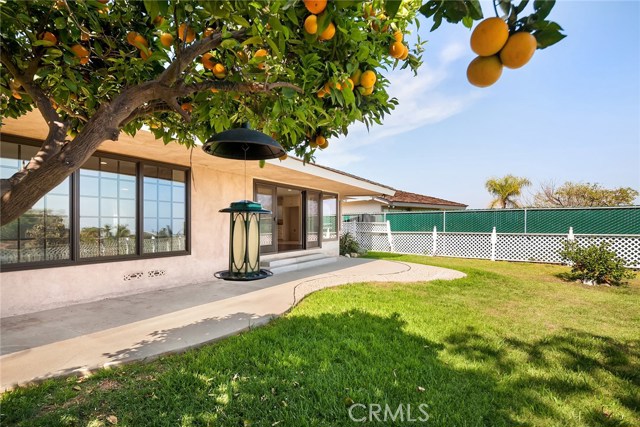 Large flat grassy yard with fruit trees