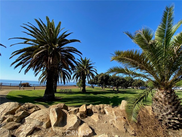 28703 Cedarbluff Drive, Rancho Palos Verdes, California 90275, 3 Bedrooms Bedrooms, ,2 BathroomsBathrooms,Residential,Sold,Cedarbluff,OC20239702