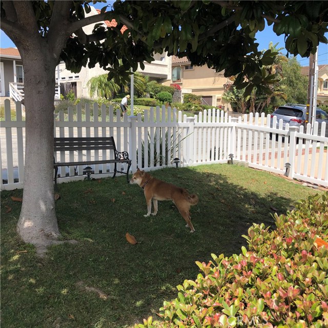 Spacious front fenced yard too!
