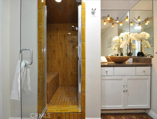 Bathroom in 2nd Master Bedroom Downstairs