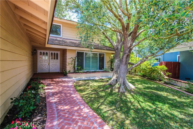 Front entry with brick walkway and lovely olive tree.