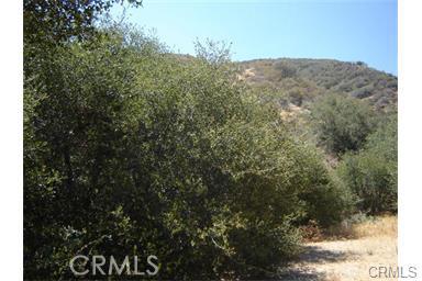 MIAS CANYON, 92222, ,For Sale,MIAS CANYON,EV14199808