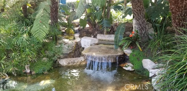 ONE OF THE VERY RELAXING WATER FEATURES