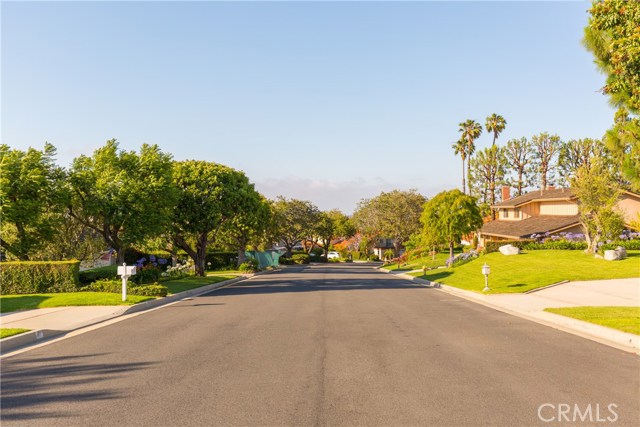 Beautiful tree lined street.