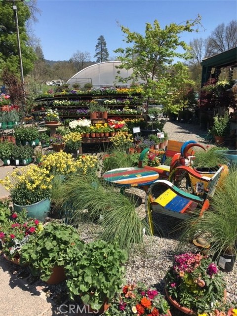 Golden Oak, 93644, ,Commercial,For Sale,Golden Oak,FR20186354