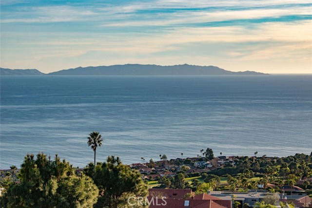 Catalina View