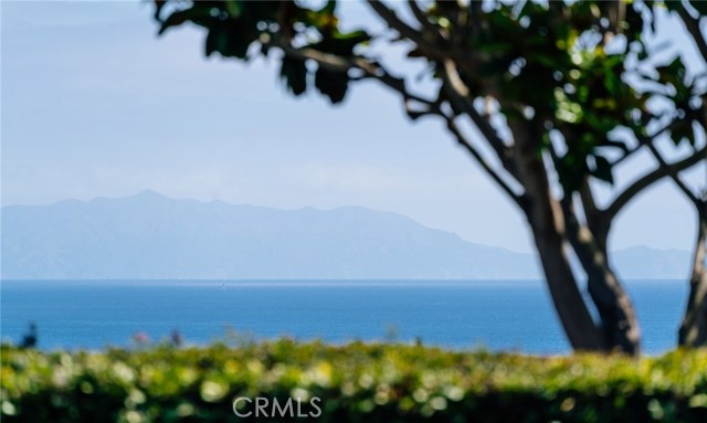 2229 Chelsea Road, Palos Verdes Estates, California 90274, 3 Bedrooms Bedrooms, ,2 BathroomsBathrooms,Residential,Sold,Chelsea,PV20075462