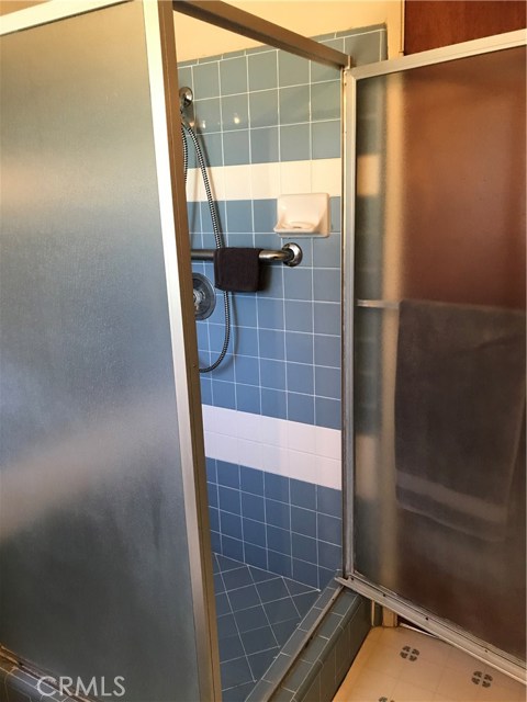 Master Shower
