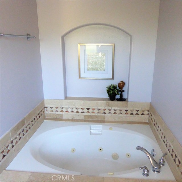 Master bath spa tub