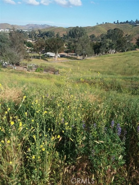 Pinnell