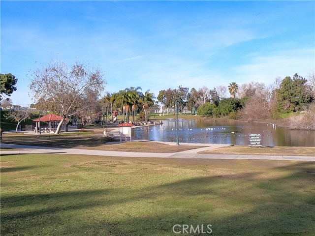 Polliwog Park