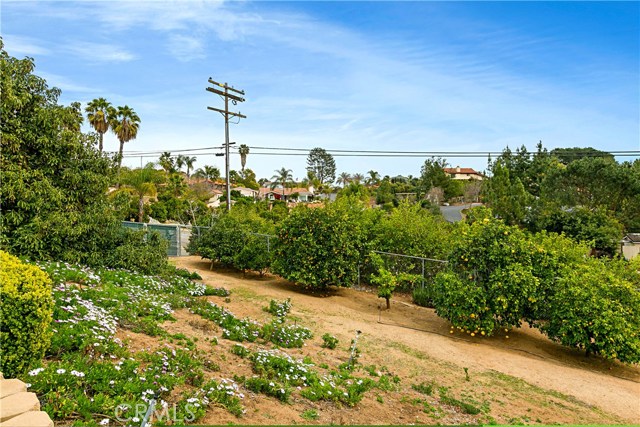 RV Parking, Fruit & Avocado Trees!