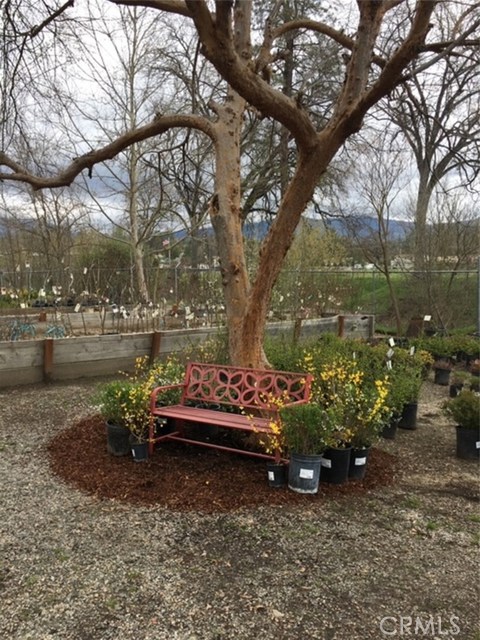 Golden Oak, 93644, ,Commercial,For Sale,Golden Oak,FR20186354