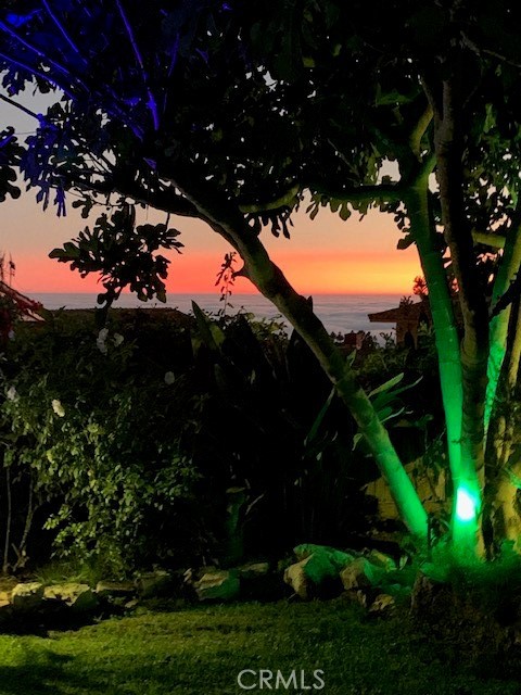 View from yard in evening