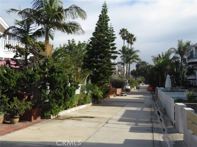 Flat Tree Lined Walk Street