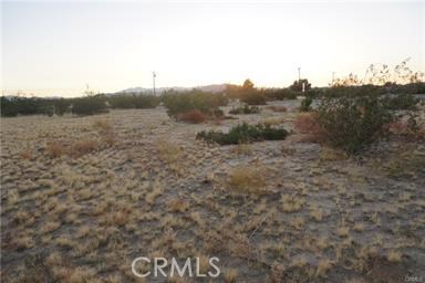 Detail Gallery Image 1 of 1 For 4913 Sunfair Rd, Joshua Tree,  CA 92252 - – Beds | – Baths
