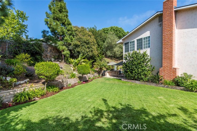 Backyard grassy play area