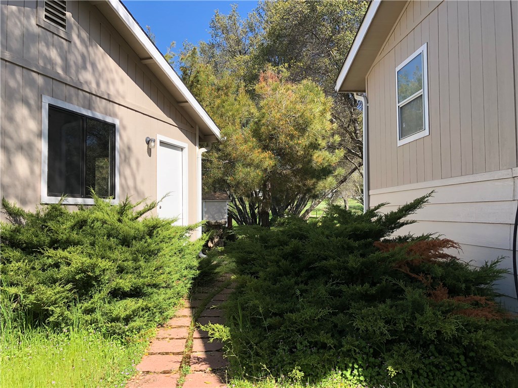 Walk way between garage and home.