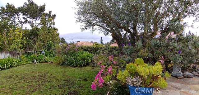 View from lower yard