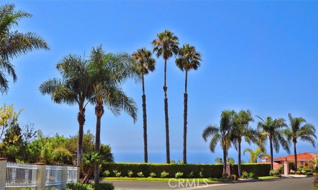 Ocean View from Street