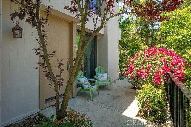 Beautiful Front Entry Way with Patio