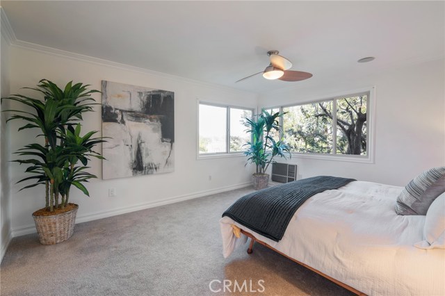 View from main bedroom looking NE, with no neighbor to block the natural light.