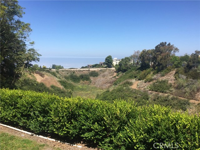 View from a walking path