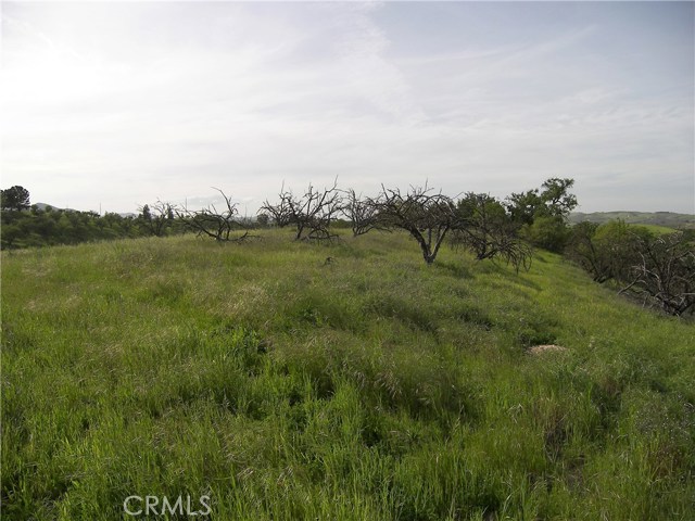 Valley Quail Place, Paso Robles, CA, 93446 Valley Quail Place