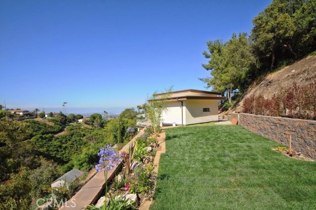 Grassy Backyard with View