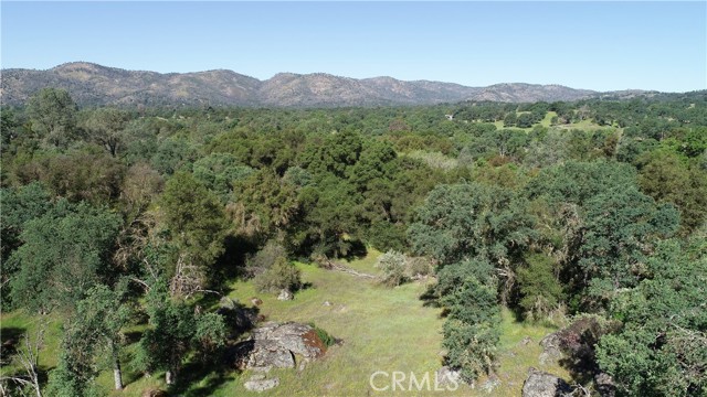 Detail Gallery Image 1 of 1 For 4390 Burl Dr, Mariposa,  CA 95338 - – Beds | – Baths