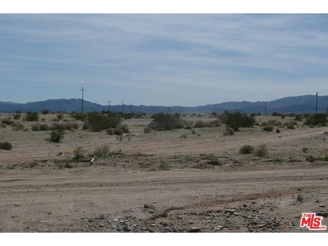 Wilson, 29 Palms, CA, 92277 Wilson