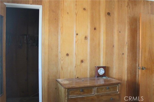 Same Bedroom--the one facing the backyard--view of wall with closet.