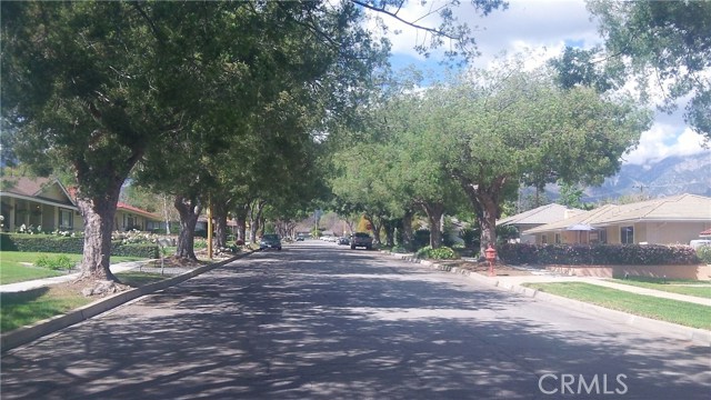 Tree lined street looking towards Mt Baldy