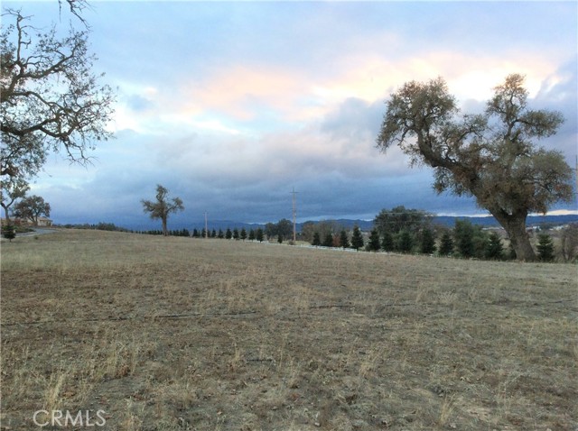 Detail Gallery Image 1 of 13 For 1320 Lot 9 Fire Rock Loop, Templeton,  CA 93465 - – Beds | – Baths