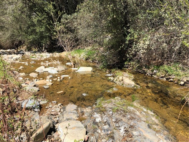 Beautiful Saxon Creek runs along one edge of the property.