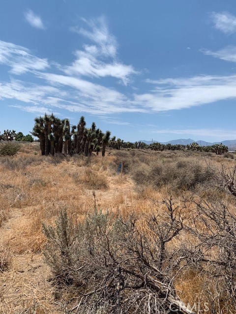 Detail Gallery Image 2 of 9 For 0 Tumbleweed, Phelan,  CA 92371 - – Beds | – Baths