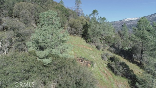 5541 Harris Cutoff Road