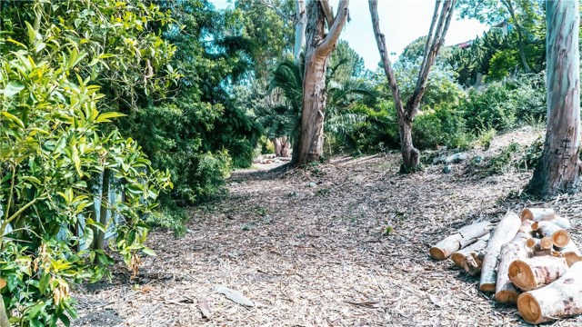 Path behind the property