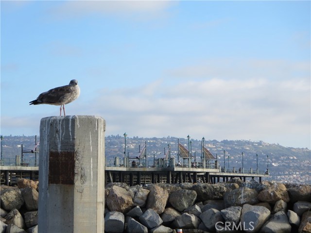 1636 Morgan Lane, Redondo Beach, California 90278, 3 Bedrooms Bedrooms, ,1 BathroomBathrooms,Residential,Sold,Morgan,PV17259230