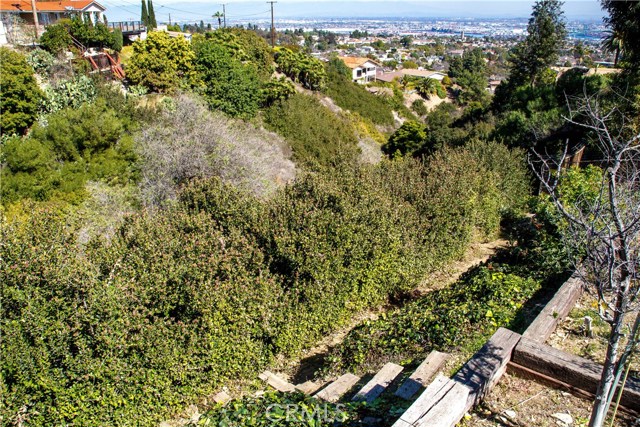 These steps are part of the nature trail that leads behind the water tanks then down the hill in 