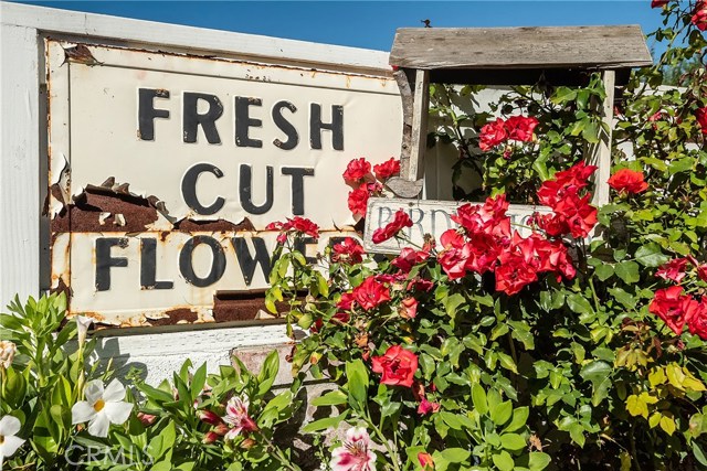 659 18th Street, Manhattan Beach, California 90266, 4 Bedrooms Bedrooms, ,3 BathroomsBathrooms,Residential,Sold,18th,SB19269469