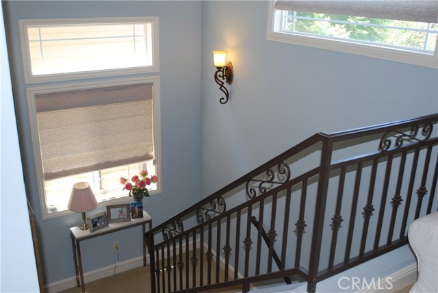 Lots of space and lots of light!