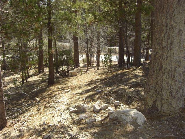 28439 North Bay Road, Lake Arrowhead, CA, 92352 28439 North Bay Road