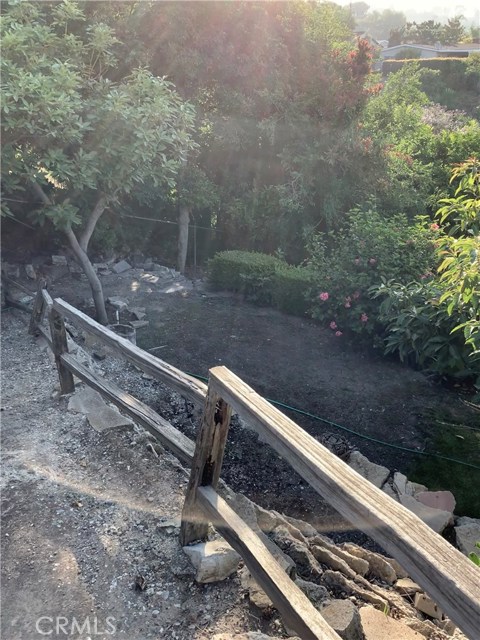 Backyard pathway.
